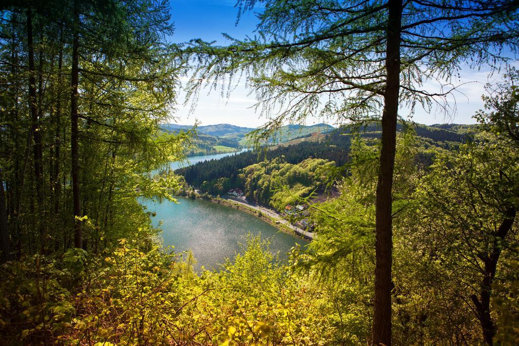 Gasthof Zum Diemeltal Marsberg Dış mekan fotoğraf