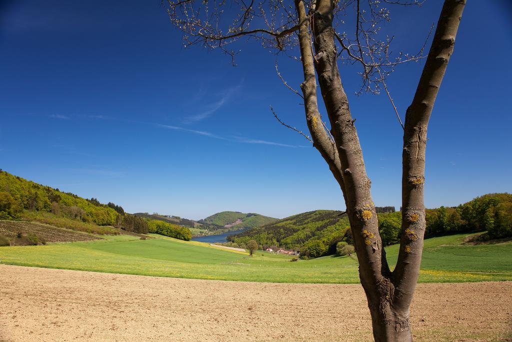 Gasthof Zum Diemeltal Marsberg Dış mekan fotoğraf