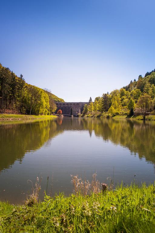 Gasthof Zum Diemeltal Marsberg Dış mekan fotoğraf