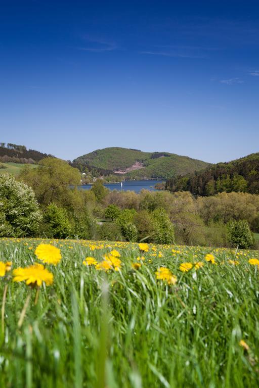 Gasthof Zum Diemeltal Marsberg Dış mekan fotoğraf